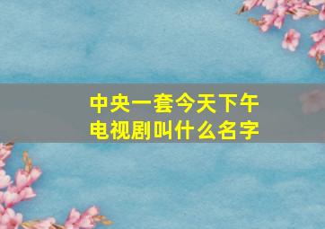 中央一套今天下午电视剧叫什么名字