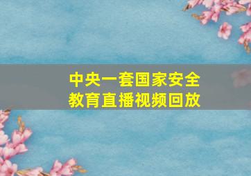 中央一套国家安全教育直播视频回放