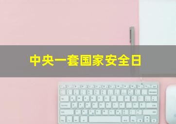 中央一套国家安全日