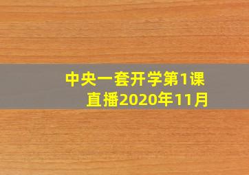 中央一套开学第1课直播2020年11月