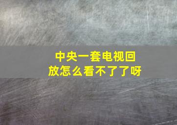 中央一套电视回放怎么看不了了呀