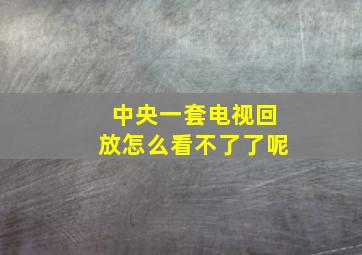 中央一套电视回放怎么看不了了呢