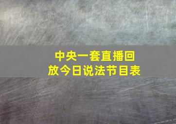 中央一套直播回放今日说法节目表