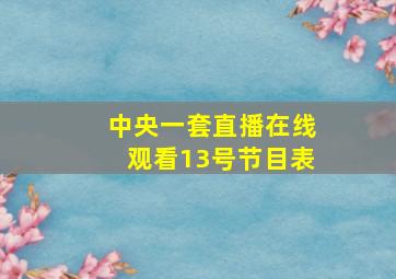 中央一套直播在线观看13号节目表