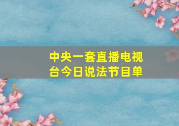 中央一套直播电视台今日说法节目单