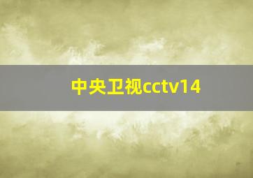 中央卫视cctv14