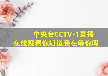 中央台CCTV-1直播在线观看你知道我在等你吗