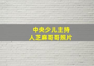 中央少儿主持人芝麻哥哥照片