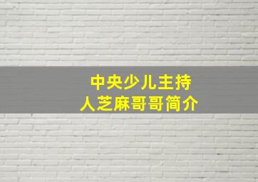 中央少儿主持人芝麻哥哥简介