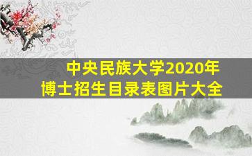 中央民族大学2020年博士招生目录表图片大全