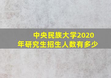 中央民族大学2020年研究生招生人数有多少