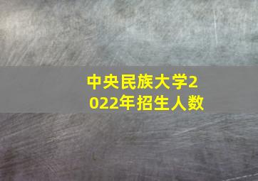 中央民族大学2022年招生人数