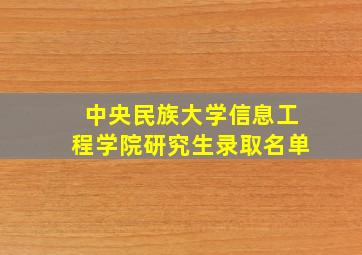 中央民族大学信息工程学院研究生录取名单