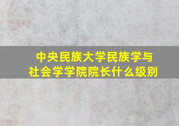 中央民族大学民族学与社会学学院院长什么级别