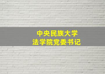 中央民族大学法学院党委书记