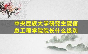 中央民族大学研究生院信息工程学院院长什么级别