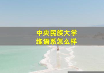 中央民族大学维语系怎么样