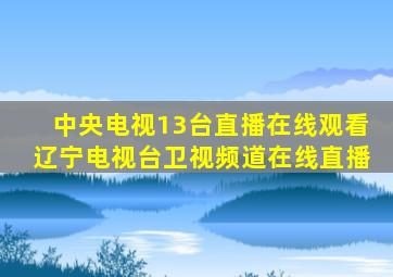 中央电视13台直播在线观看辽宁电视台卫视频道在线直播