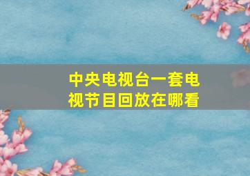 中央电视台一套电视节目回放在哪看