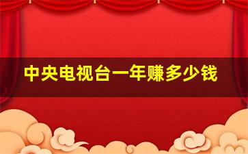 中央电视台一年赚多少钱