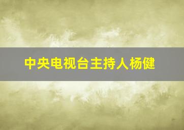 中央电视台主持人杨健