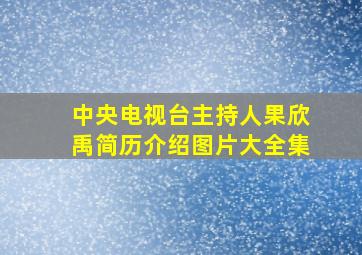 中央电视台主持人果欣禹简历介绍图片大全集