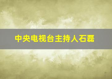 中央电视台主持人石磊