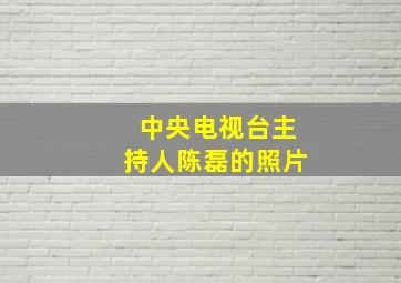 中央电视台主持人陈磊的照片