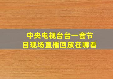 中央电视台台一套节目现场直播回放在哪看