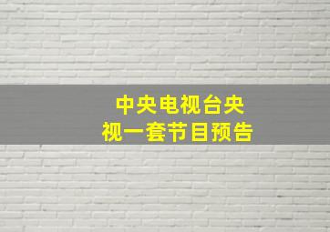 中央电视台央视一套节目预告