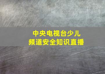 中央电视台少儿频道安全知识直播