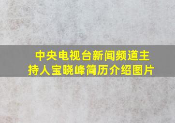 中央电视台新闻频道主持人宝晓峰简历介绍图片