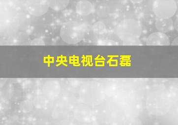 中央电视台石磊