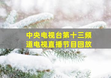 中央电视台第十三频道电视直播节目回放