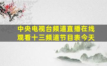 中央电视台频道直播在线观看十三频道节目表今天