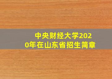 中央财经大学2020年在山东省招生简章