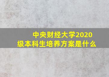 中央财经大学2020级本科生培养方案是什么