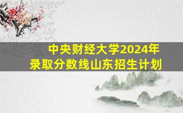 中央财经大学2024年录取分数线山东招生计划