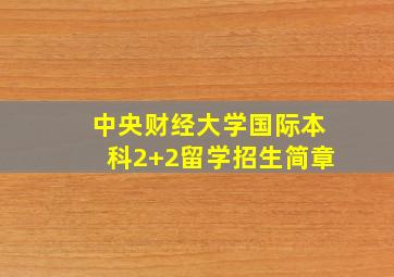 中央财经大学国际本科2+2留学招生简章