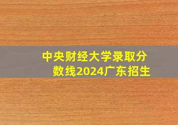 中央财经大学录取分数线2024广东招生