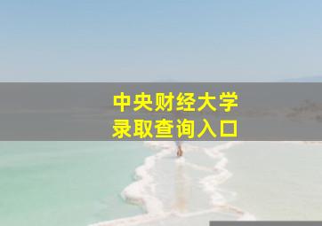 中央财经大学录取查询入口