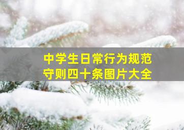 中学生日常行为规范守则四十条图片大全