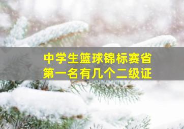 中学生篮球锦标赛省第一名有几个二级证