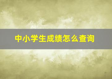 中小学生成绩怎么查询