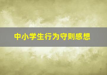 中小学生行为守则感想