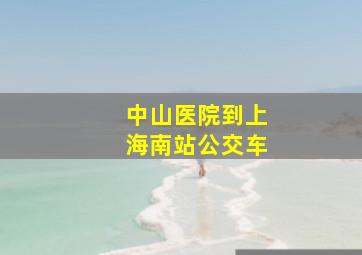 中山医院到上海南站公交车