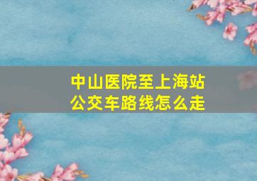 中山医院至上海站公交车路线怎么走