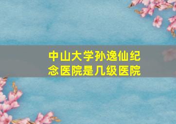 中山大学孙逸仙纪念医院是几级医院