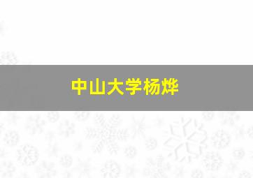 中山大学杨烨