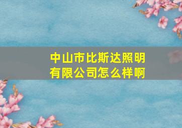 中山市比斯达照明有限公司怎么样啊